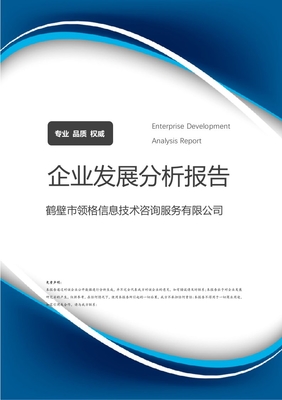 鶴壁市領(lǐng)格信息技術(shù)咨詢服務(wù)企業(yè)發(fā)展分析報告